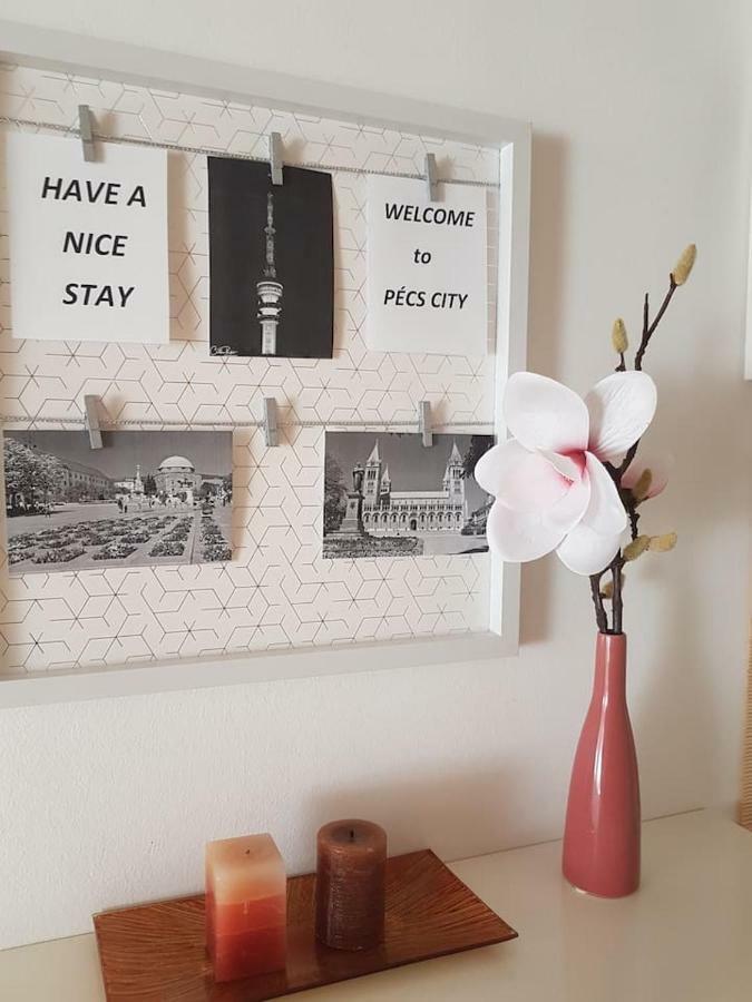 Koezponthoz Koezeli - Cool Tettye Apartman Pecs Ngoại thất bức ảnh